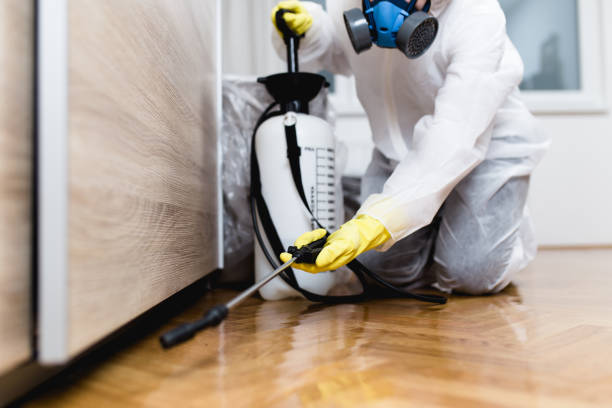 Best Pest Inspection Near Me  in New Hope, AL