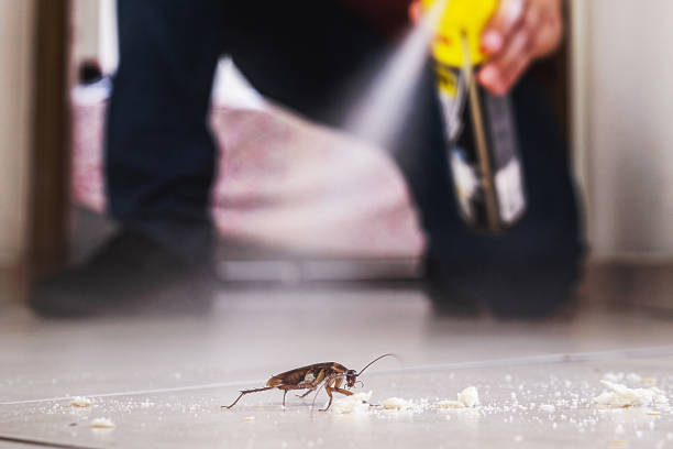 Best Flea Control Services  in New Hope, AL