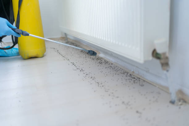 Best Pest Control Near Me in New Hope, AL
